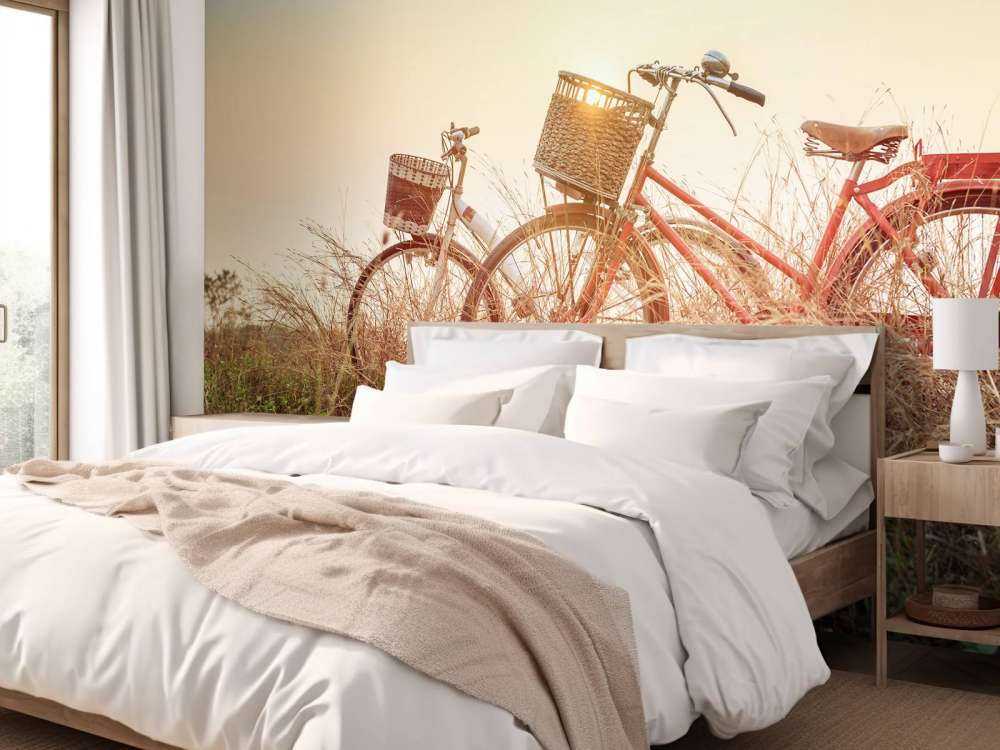 Vintage bikes