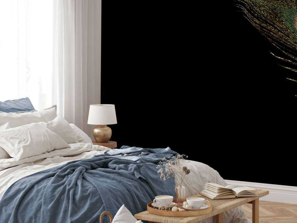 Colourful peacock feather