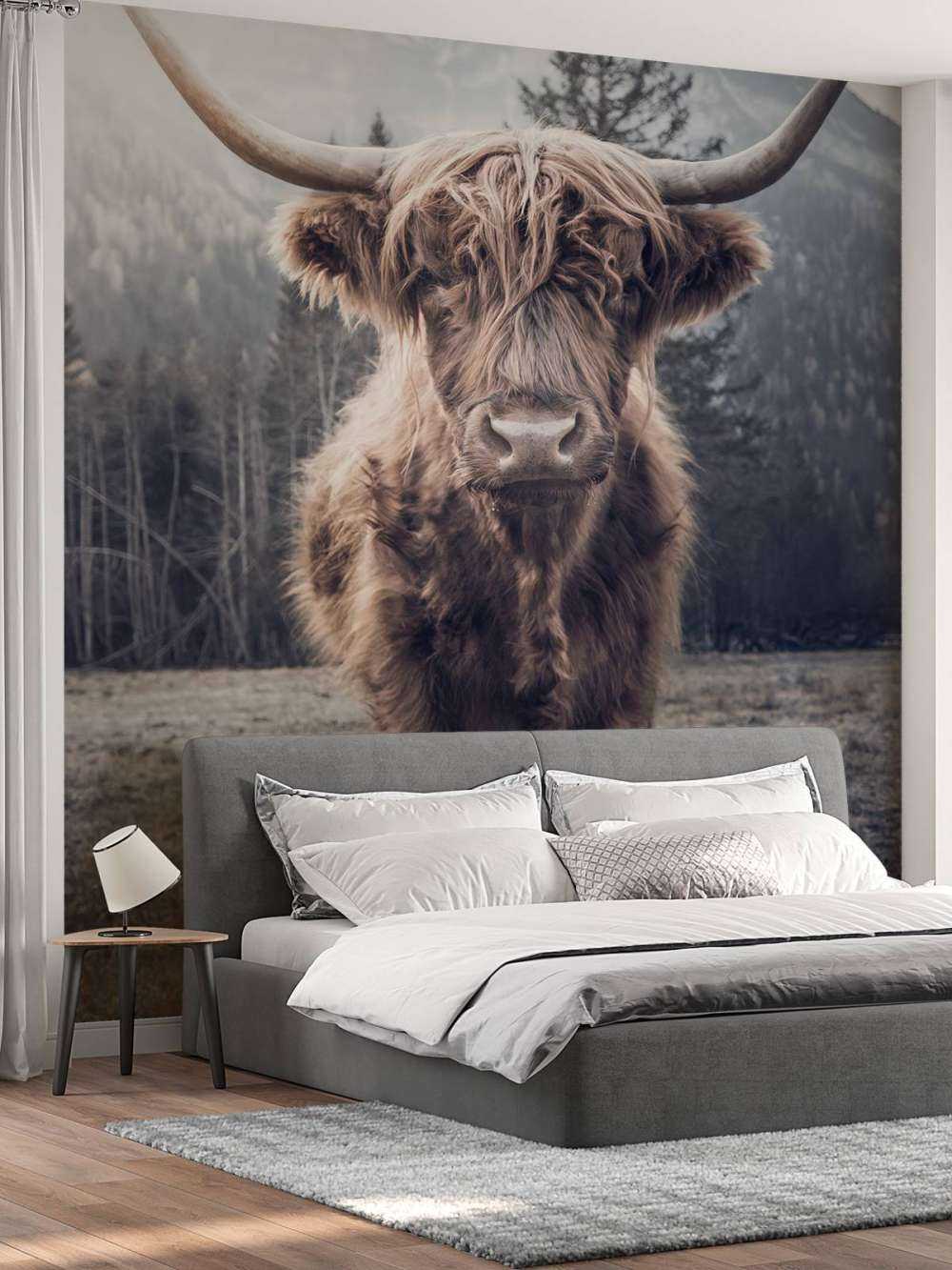 Scottish Highlander by the forest