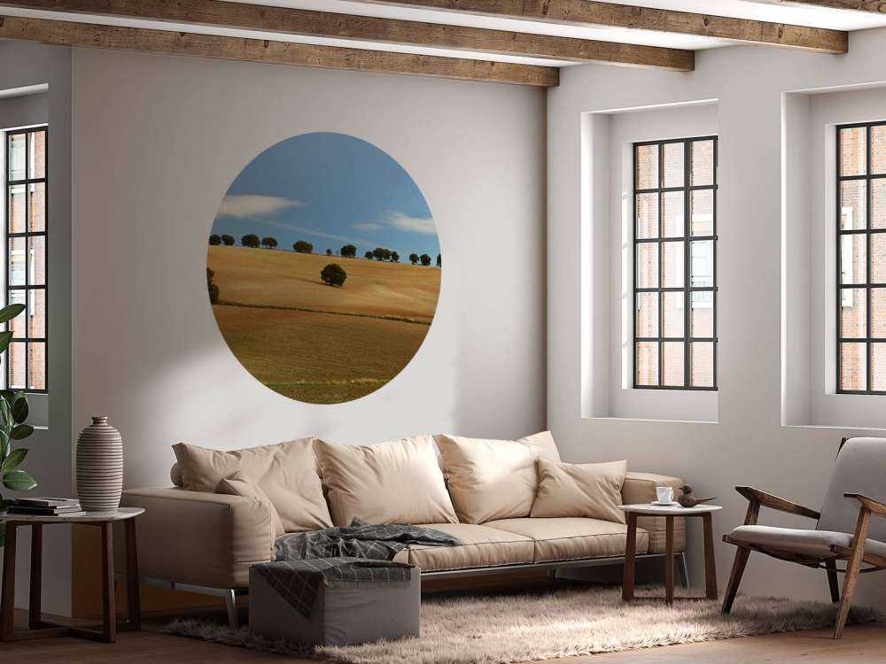 Trees in Spanish landscape