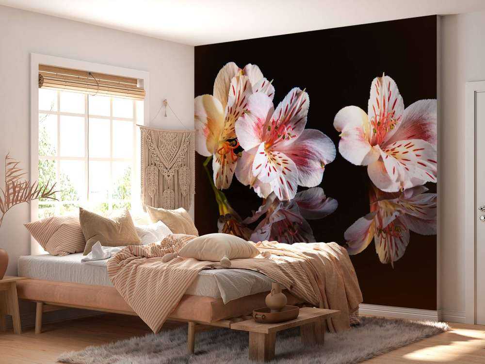 Alstroemeria flowers with reflection