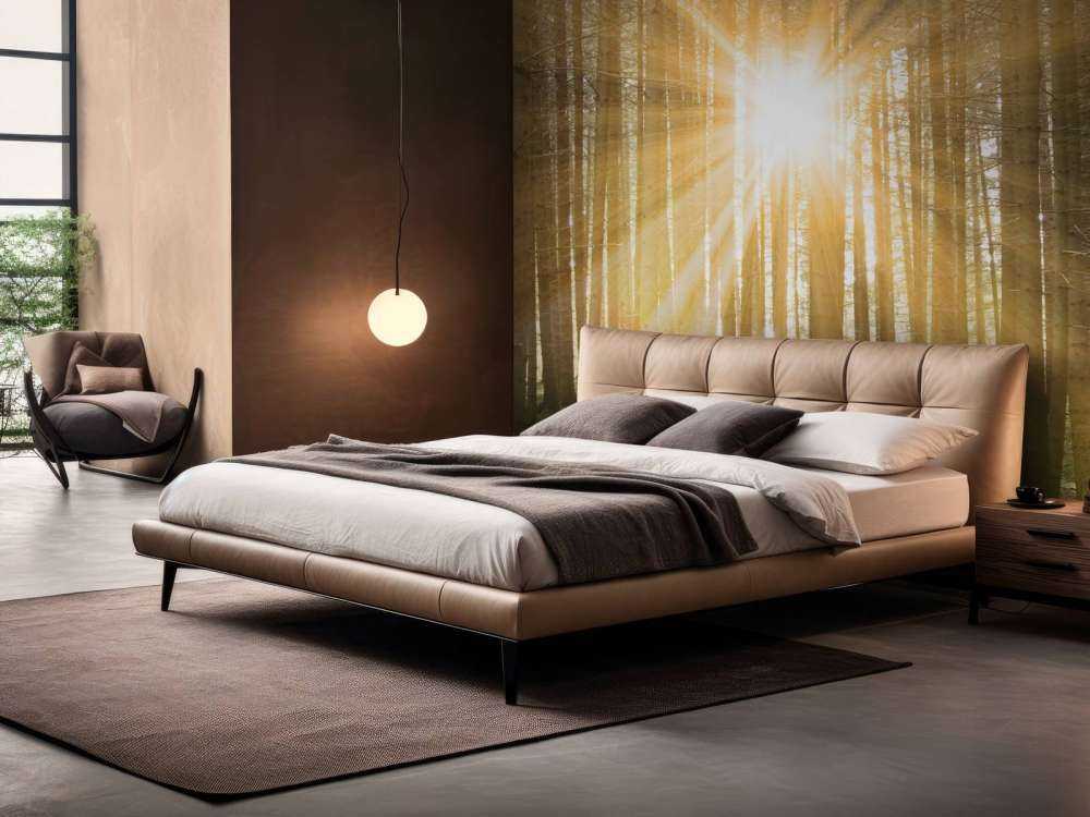 Pine forest with sunshine