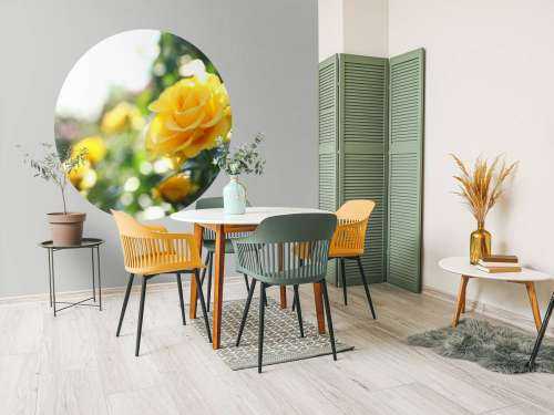 Yellow roses