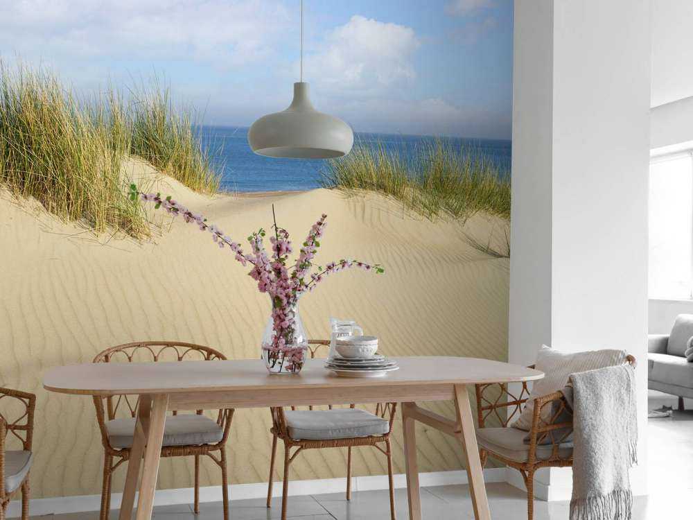 Dune passage to the beach