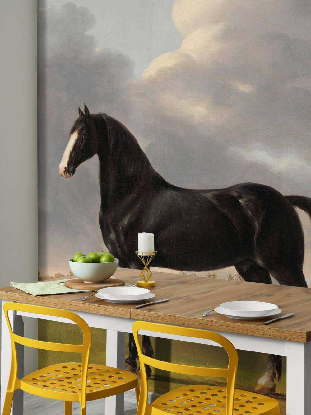Photo wallpaper horse. The harddrawer De Vlugge
