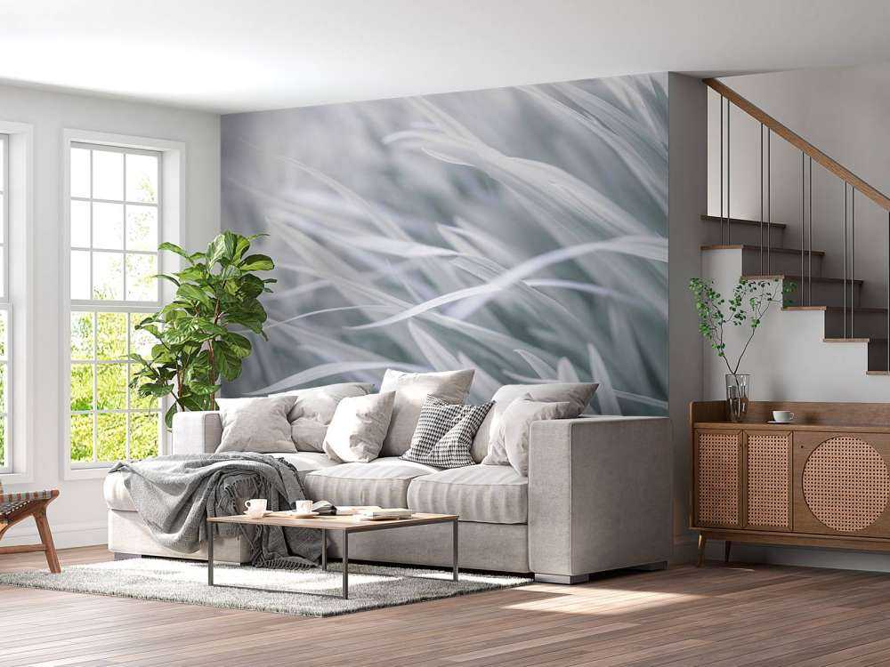 Grass blades close-up