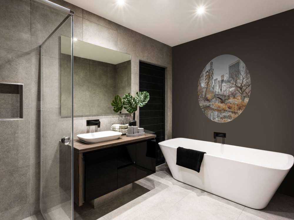 Central park in winter