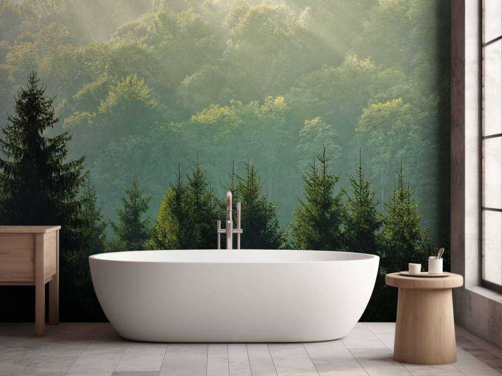 Sunbeams over the forest