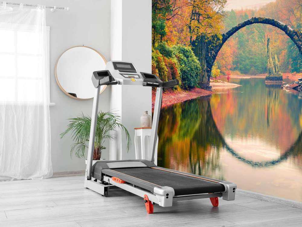 Bridge over the lake