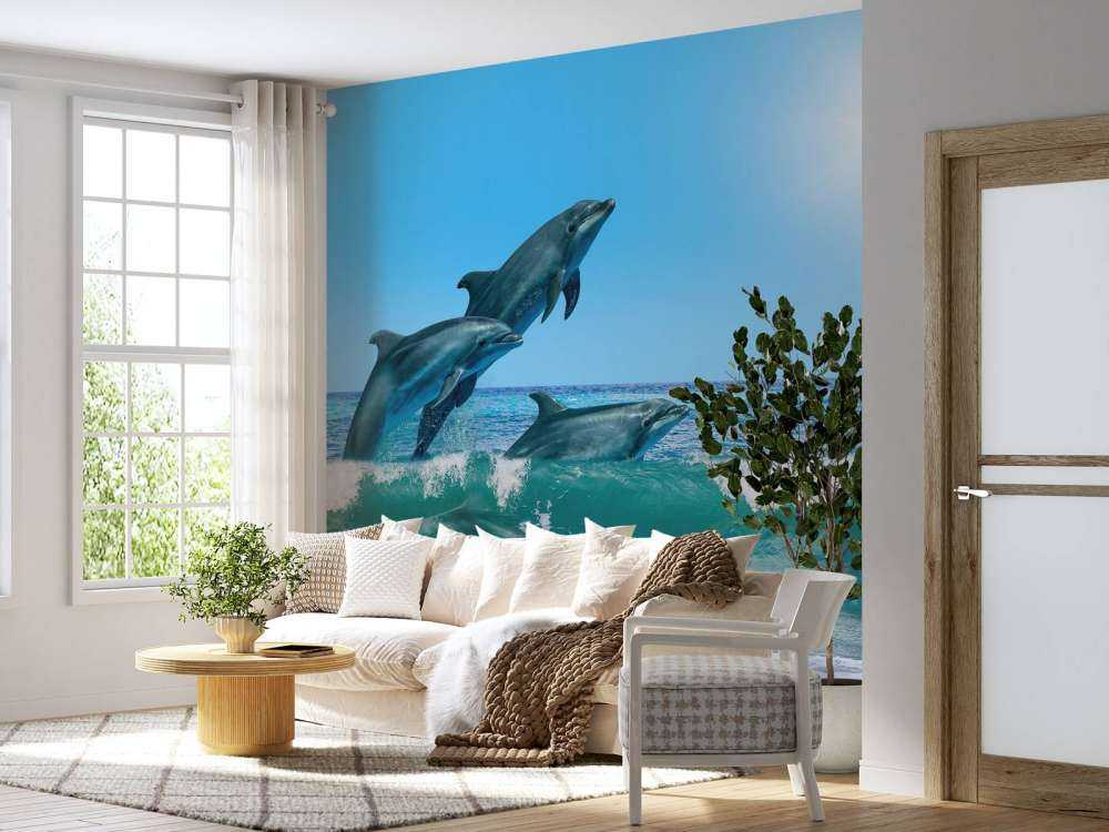 Dolphins at the coast