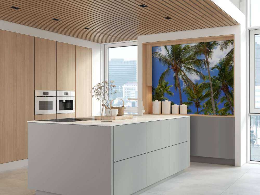 Coconut palm trees