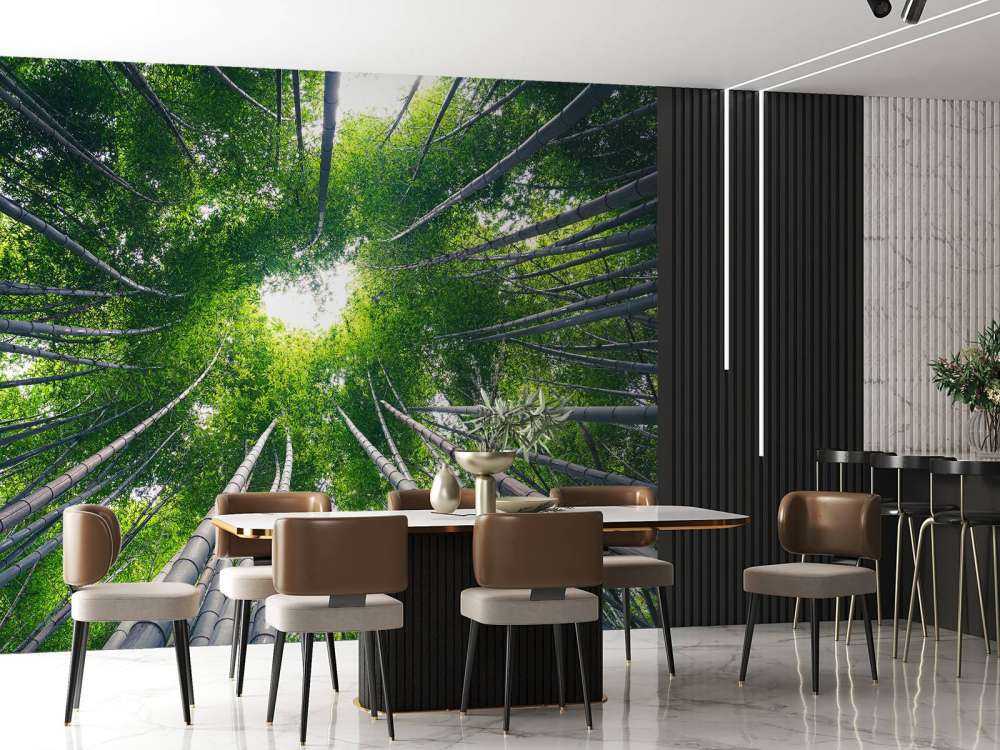 Forest with bamboo