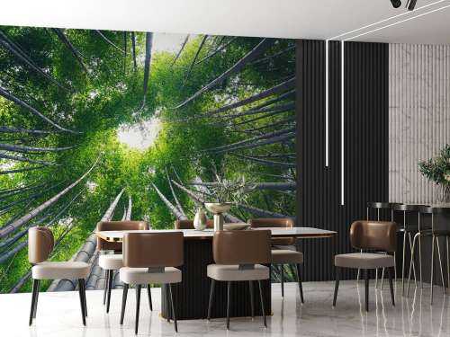 Forest with bamboo