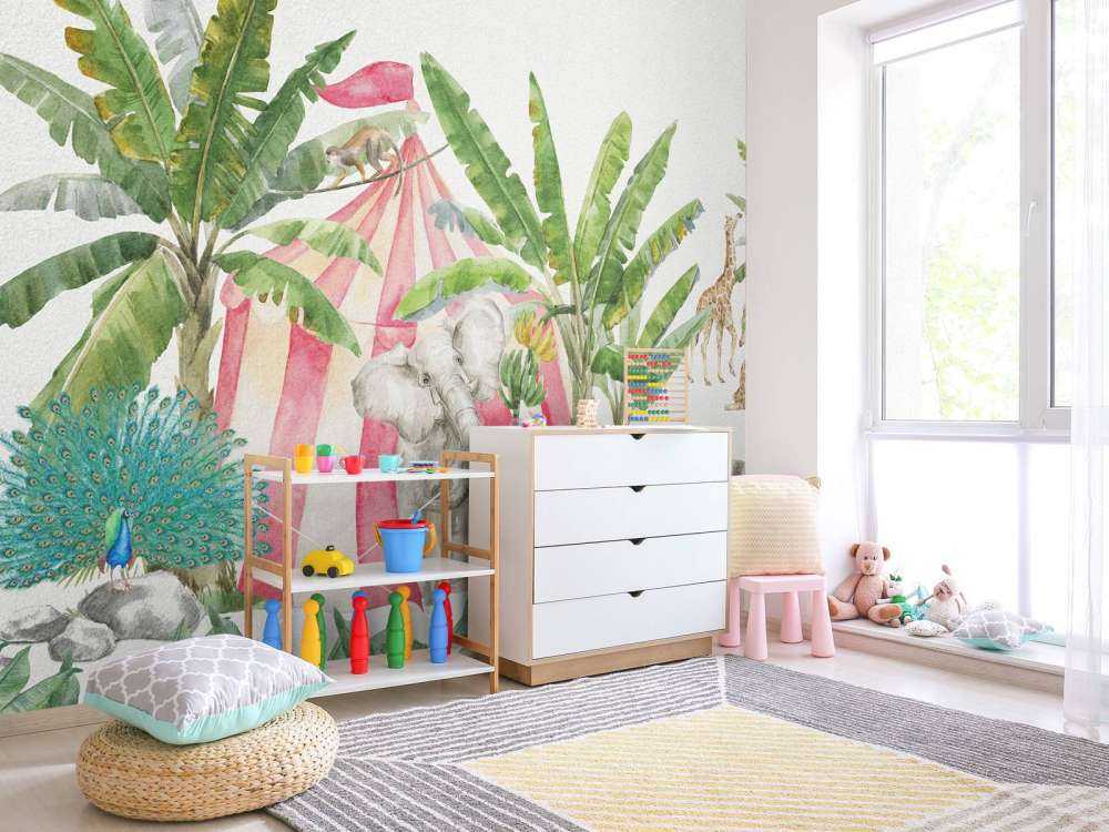 Circus in the jungle