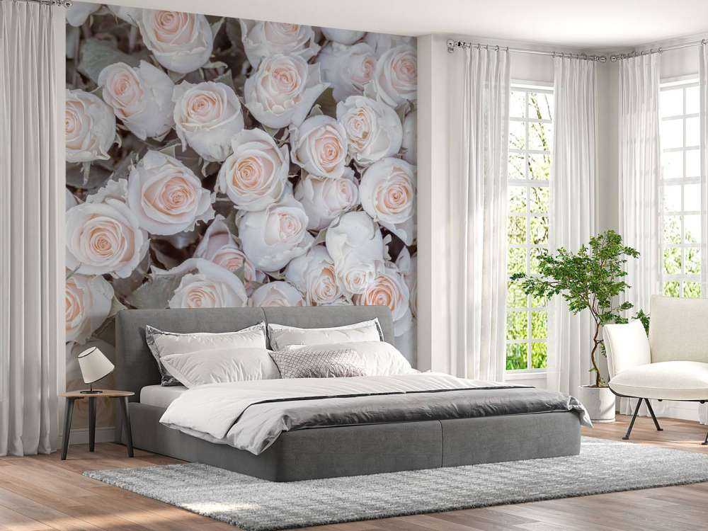 Light colored roses
