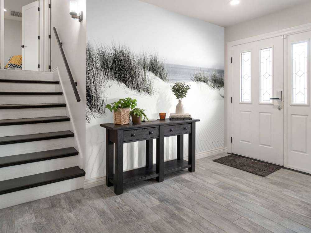 Dune passage to the beach black and white