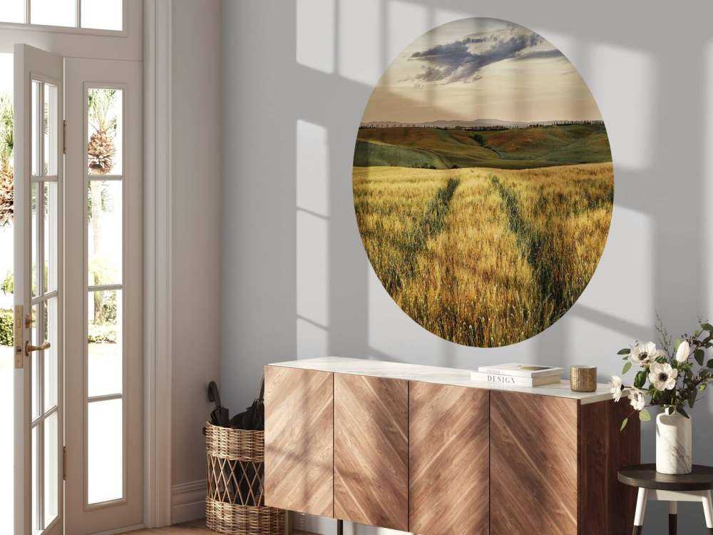 Grain field with tracks