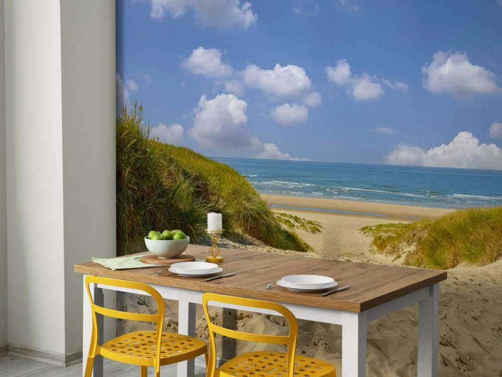 Beach access through the dunes