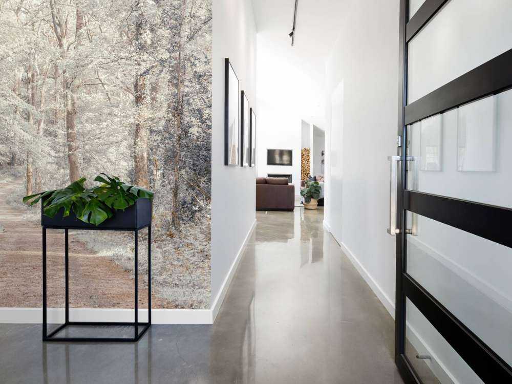 A path through a green forest