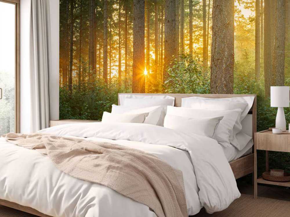 Sunbeams in a coniferous forest