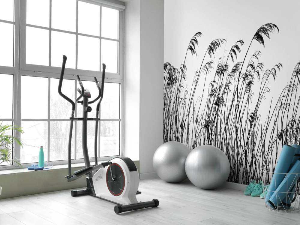 Reed along the waterfront in black and white