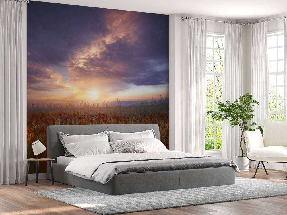 Between color and light