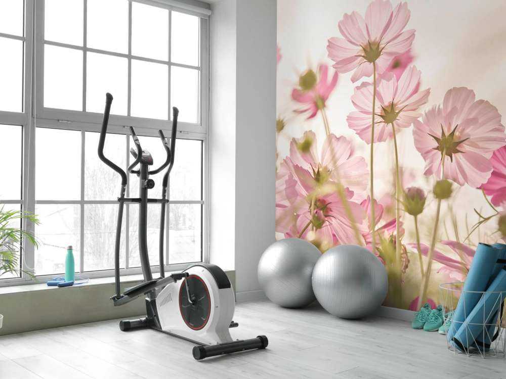 Beautiful flower garden