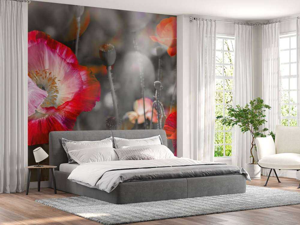 Poppies in black, white, red