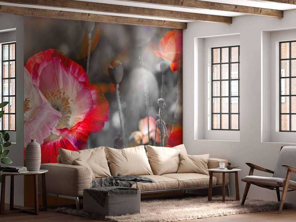 Poppies in black, white, red