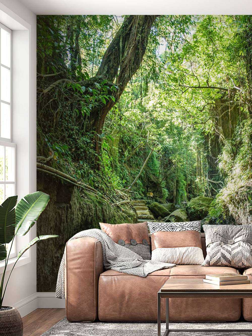 Path through the jungle