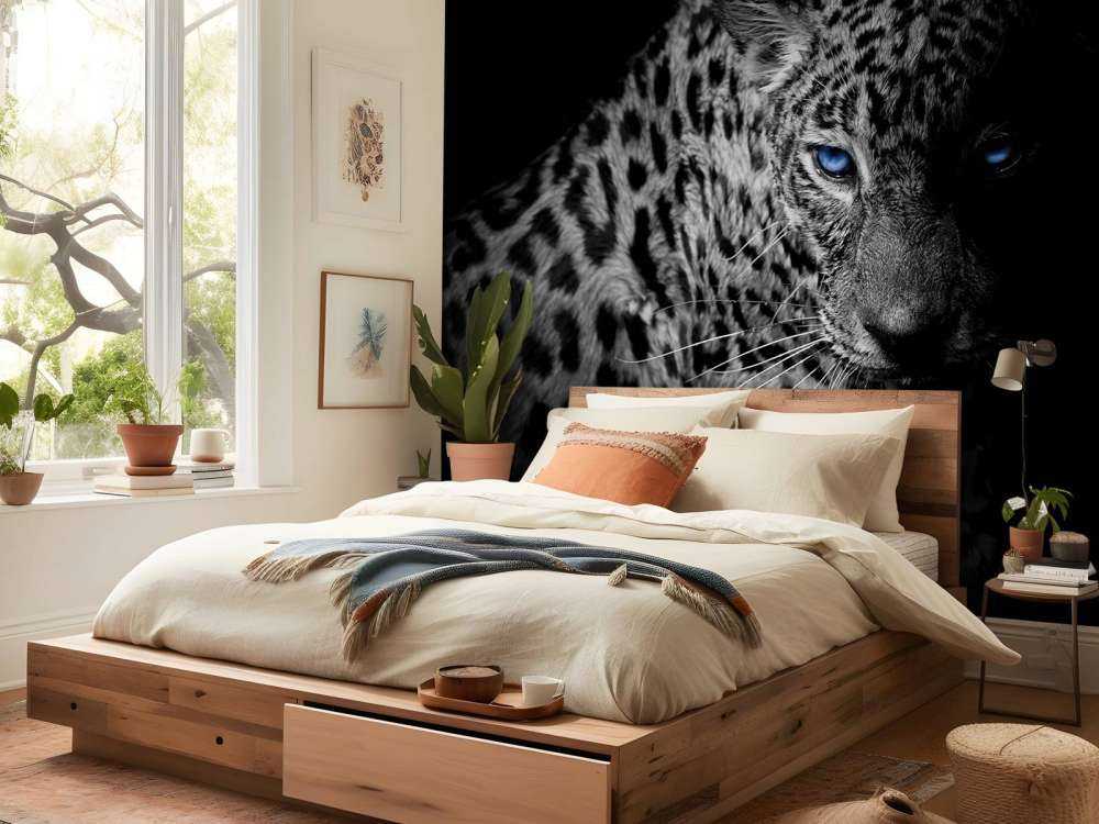 Leopard on black background