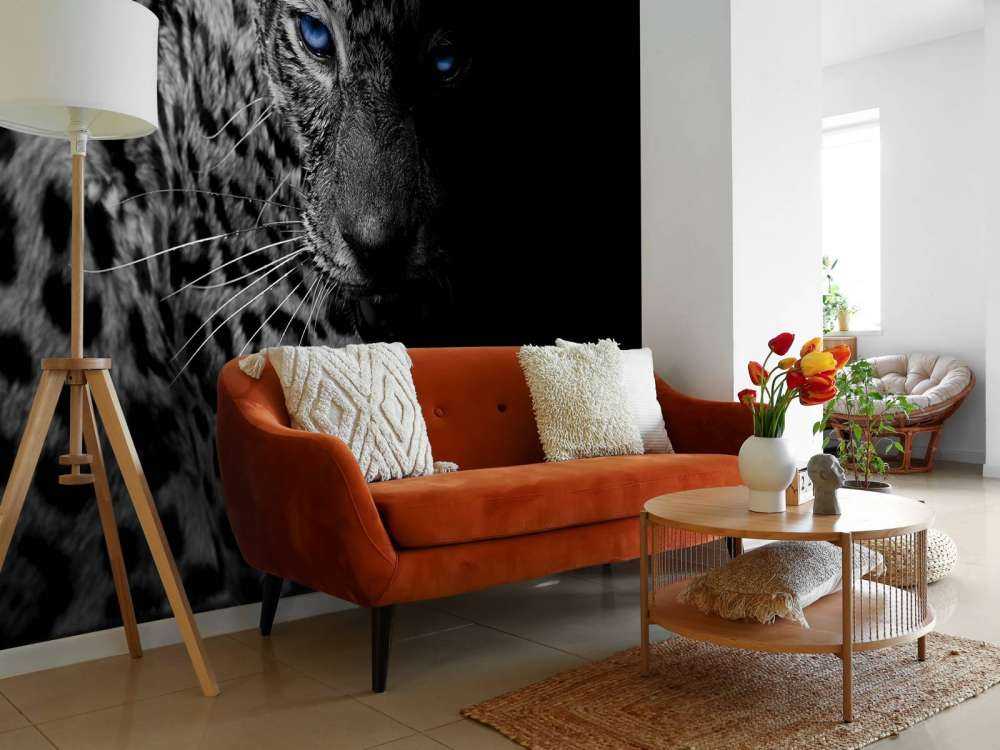 Leopard on black background