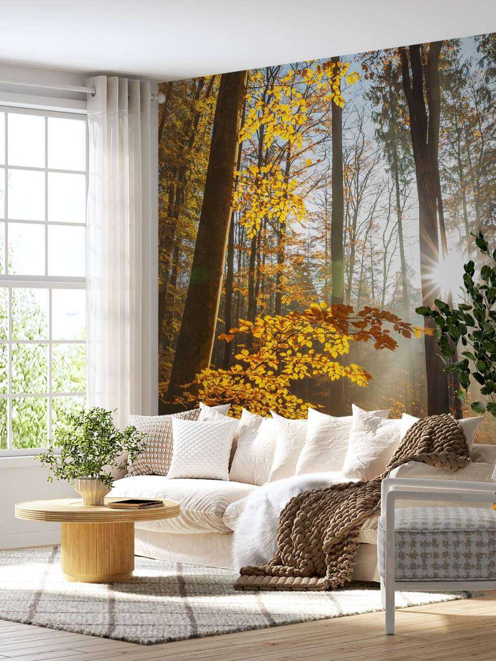 Autumn forest