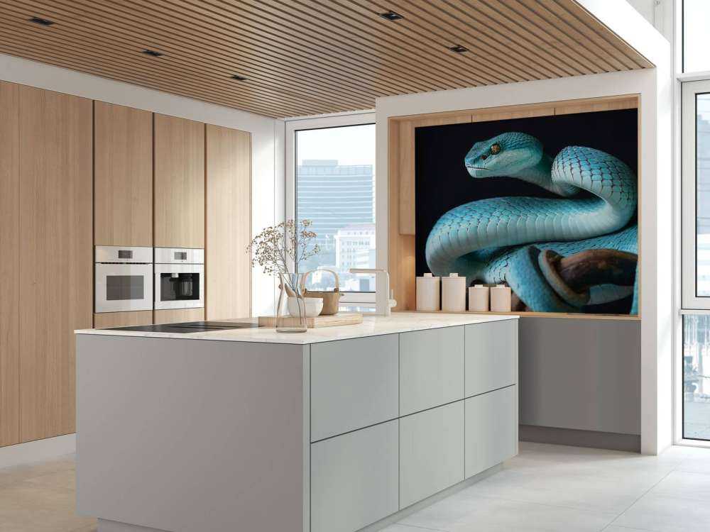 Blue Insular Snake