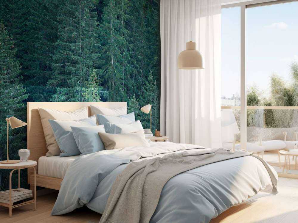 Conifers with pine cones