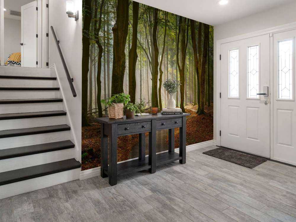 Sun rays at path through the forest