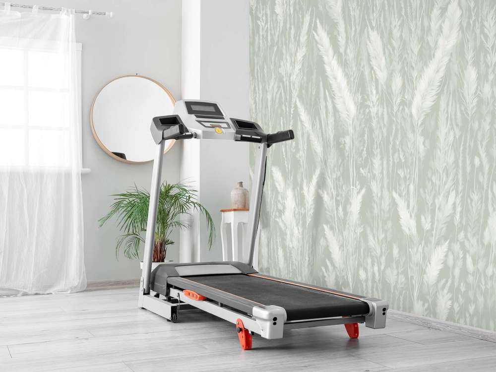 Wall of field grasses - green