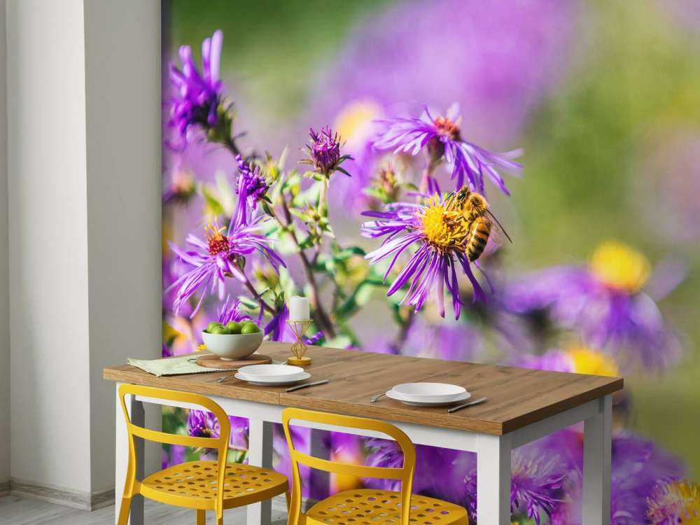 Purple flowers
