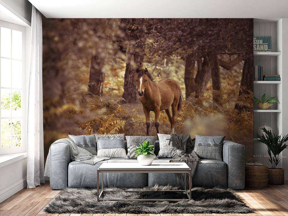 Horse in the wilderness