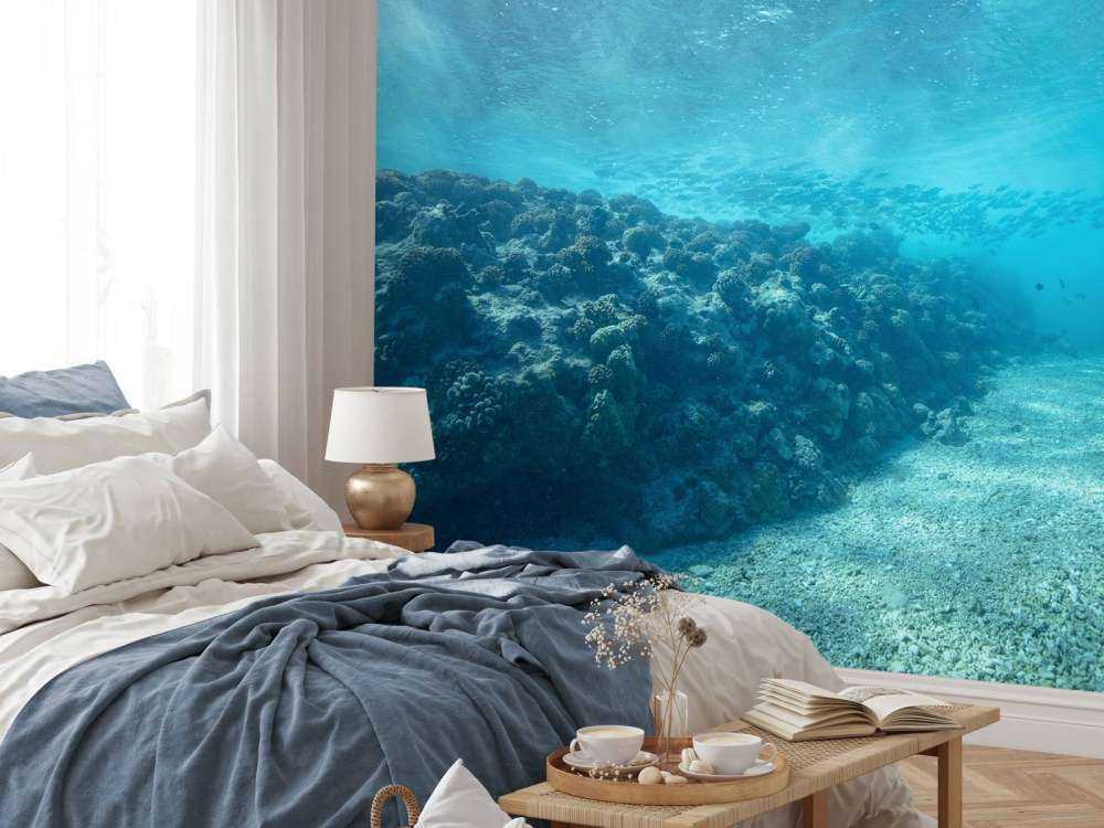 Underwater world with coral