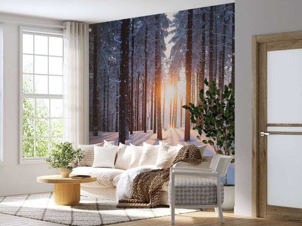 Sunset in a winter forest