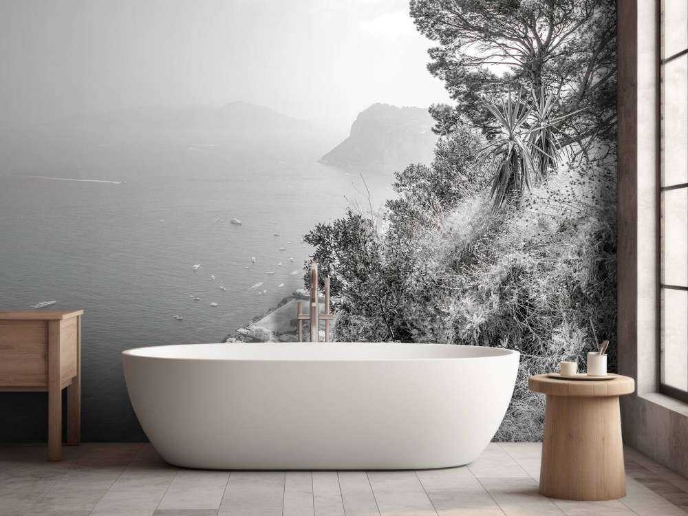 View from Capri