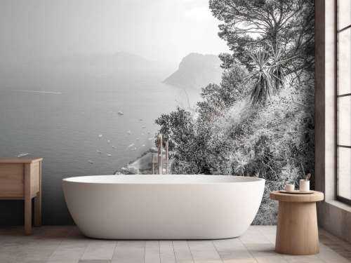 View from Capri