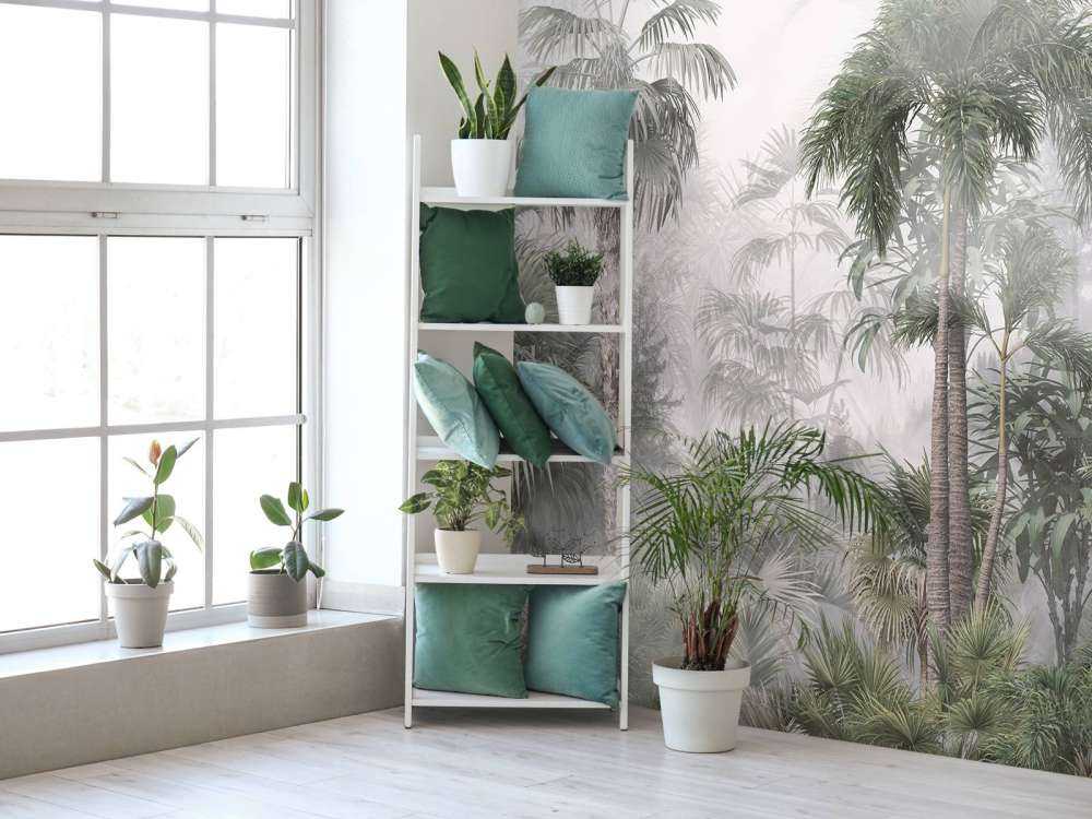 Morning Mist in the Tropics