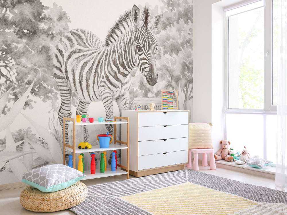 Young zebra in the nature beige