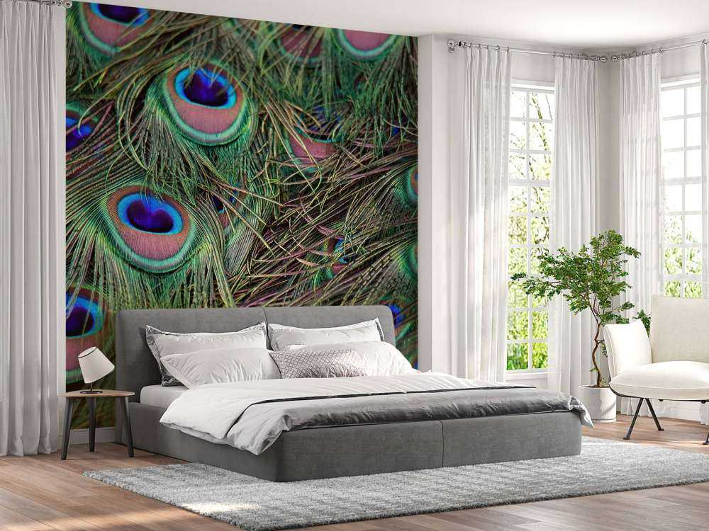 Close-up of peacock feathers