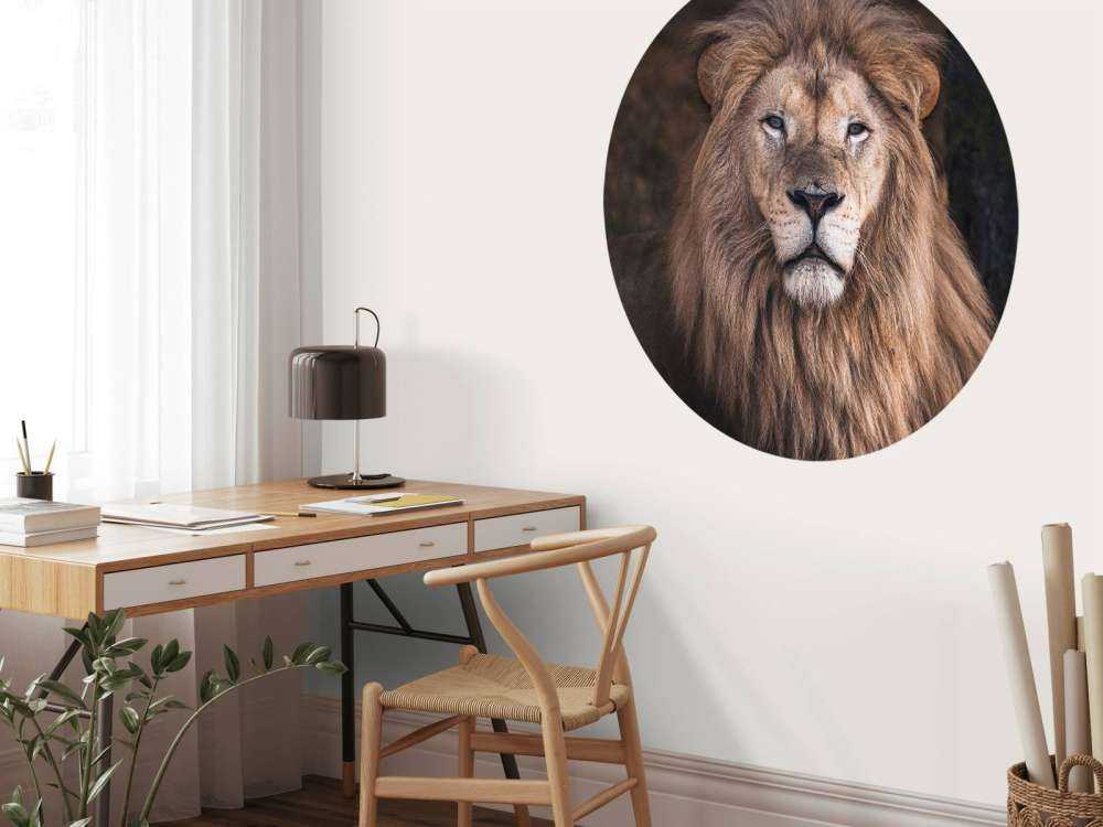 Portrait of a lion