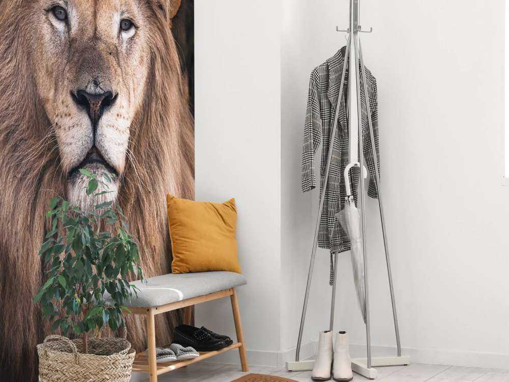Portrait of a lion