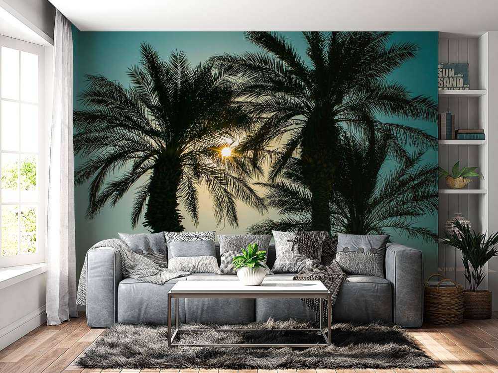 Silhouette of palm trees