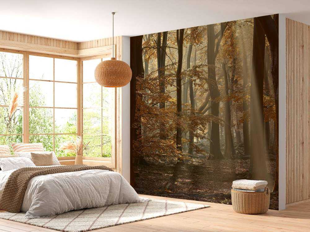 Autumn colours in the forest